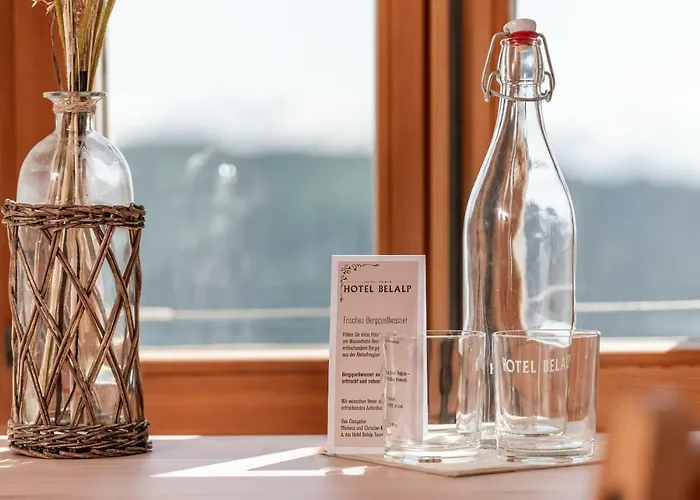 Hotel Hotel Belalp Belalp